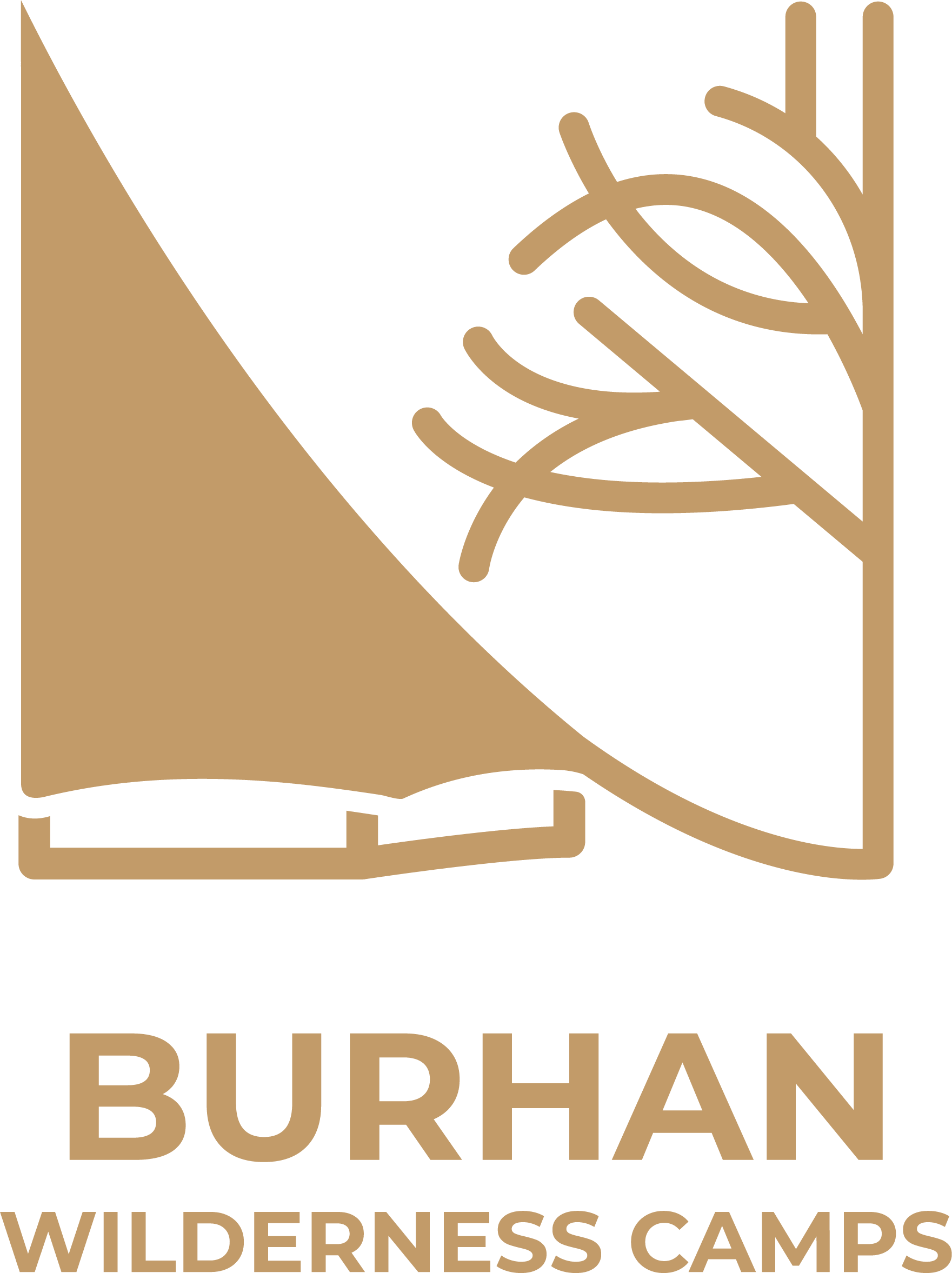 Burhan Camps